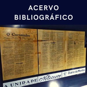 Museu Olívio Otto